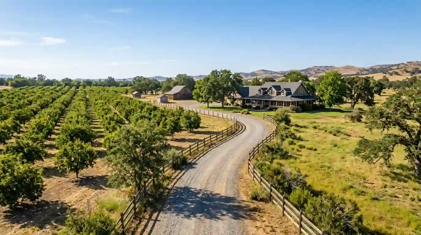 Country home with an orchard and long gravel driveway in Loomis California