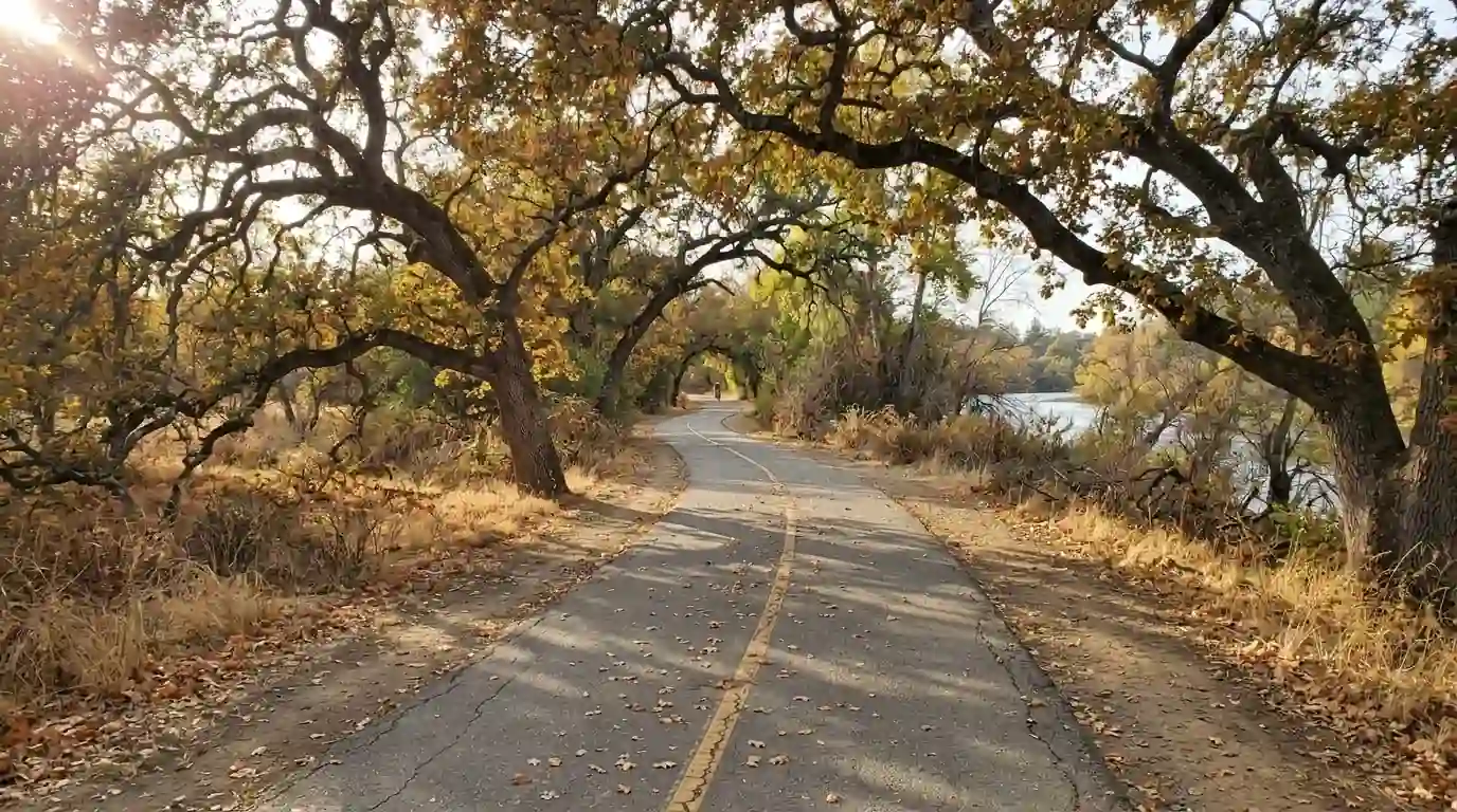 American River trail with oak trees and a bike path in autumn